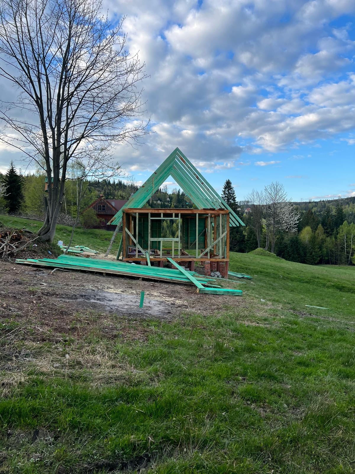 Szkielet drewnianej konstrukcji budynku w trakcie budowy na wzgórzu, z zielonymi elementami i malowniczym tłem lasu i nieba.