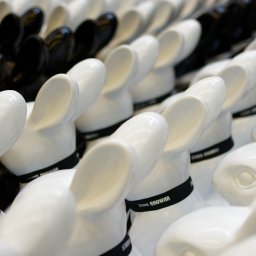 Programista Szczecin 2