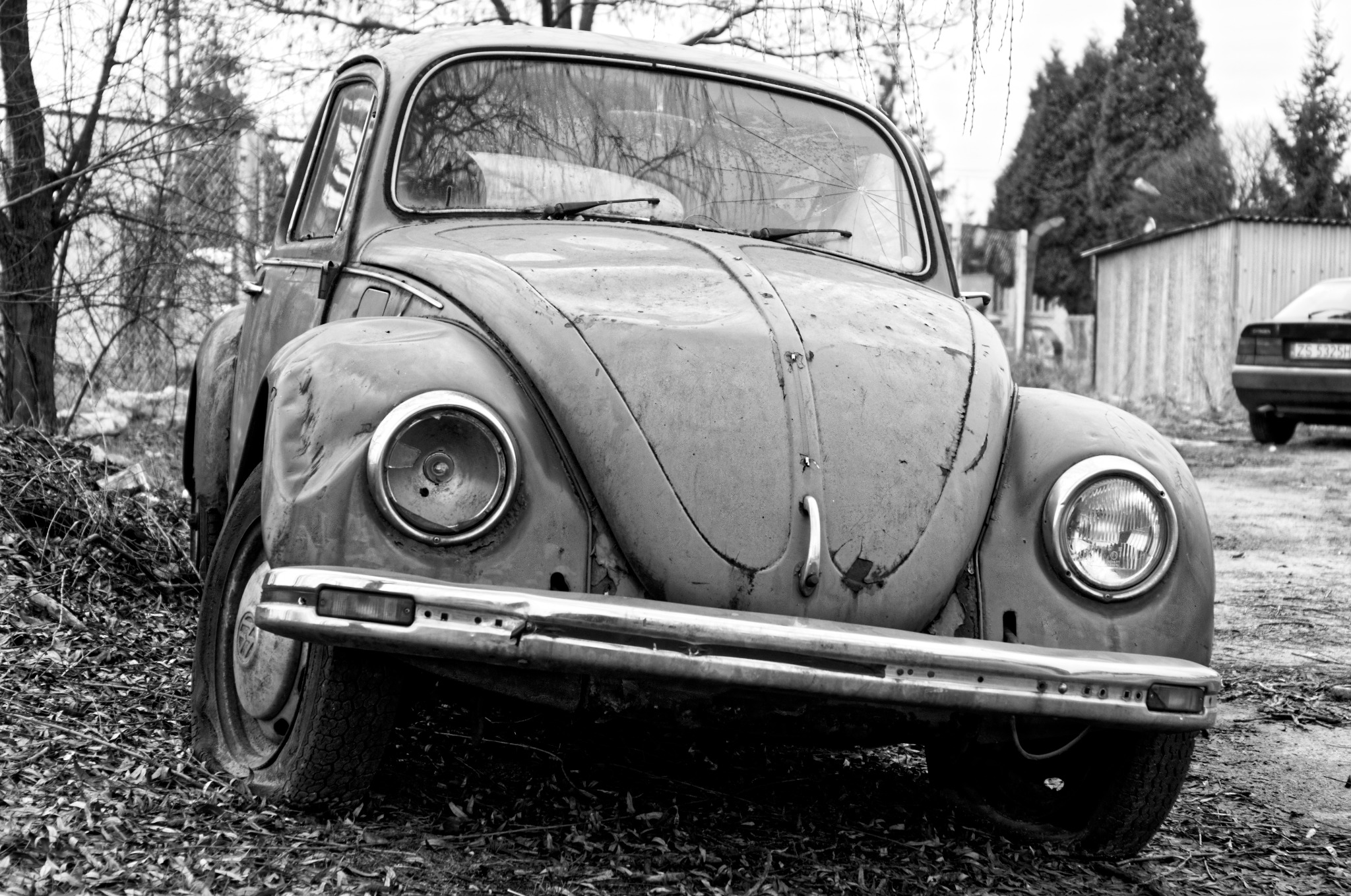Czarno-białe zdjęcie zniszczonego, starego Volkswagena Garbusa z widocznymi śladami rdzy i uszkodzeń, stojącego na ziemi pokrytej liśćmi, z drzewami w tle.