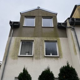 Przedsiębiorstwo Handlowo Usługowe Łukasz Muszyński - Zanieczyszczona elewacja dwukondygnacyjnego budynku z czterema oknami, widoczna z dołu. Na elewacji widoczne zielone zacieki i zabrudzenia. U dołu trzy tuje.