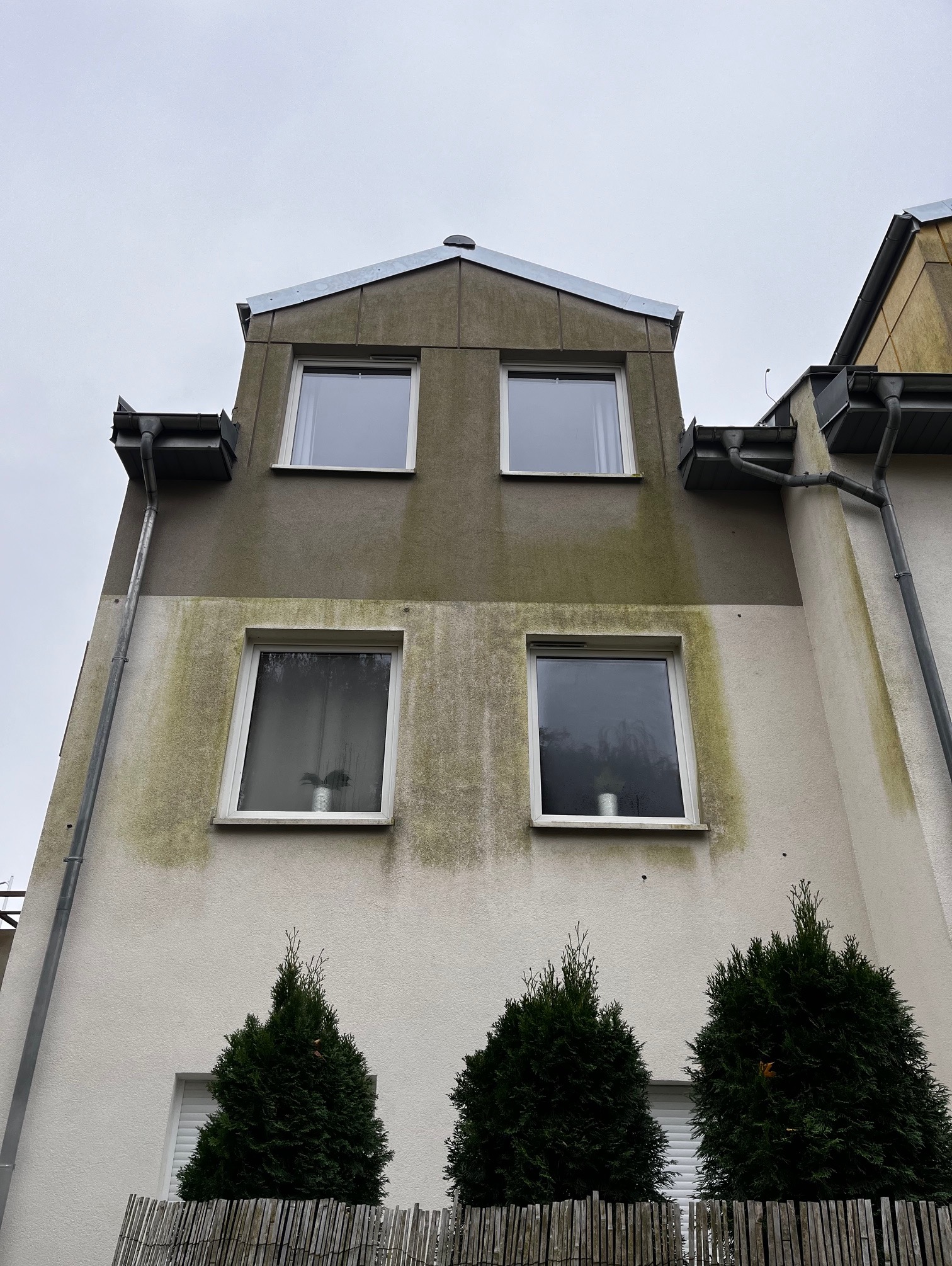 Zanieczyszczona elewacja dwukondygnacyjnego budynku z czterema oknami, widoczna z dołu. Na elewacji widoczne zielone zacieki i zabrudzenia. U dołu trzy tuje.