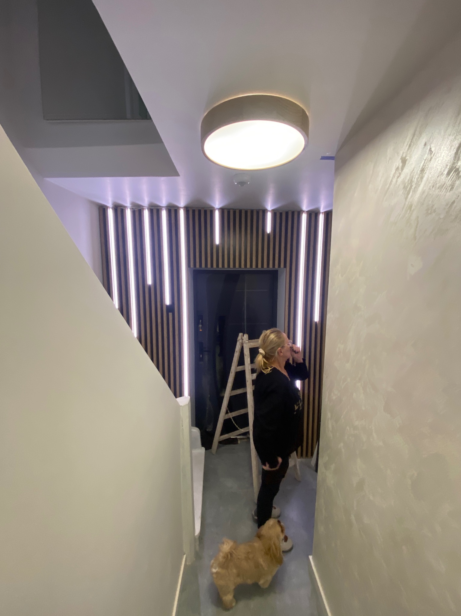 Nowoczesne wykończenie klatki schodowej z drewnianymi lamelami i oświetleniem LED. Kobieta z psem przy drabinie. Ściana z efektem dekoracyjnym.