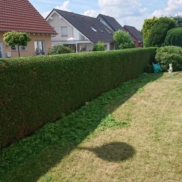 Kamil Bendelewski - Perfekcyjne Utrzymanie Ogrodów Rypin