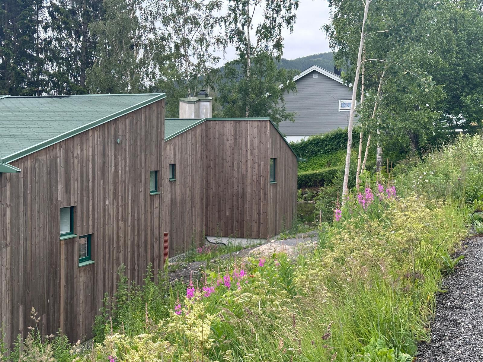 Nowoczesny dom szkieletowy z drewnianą elewacją i zielonym dachem, otoczony bujną roślinnością. Widok z poziomu gruntu, podkreślający naturalne otoczenie.