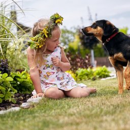 Fotograf ślubny Sokołów Małopolski 2