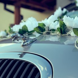 Fotograf ślubny Sokołów Małopolski 1