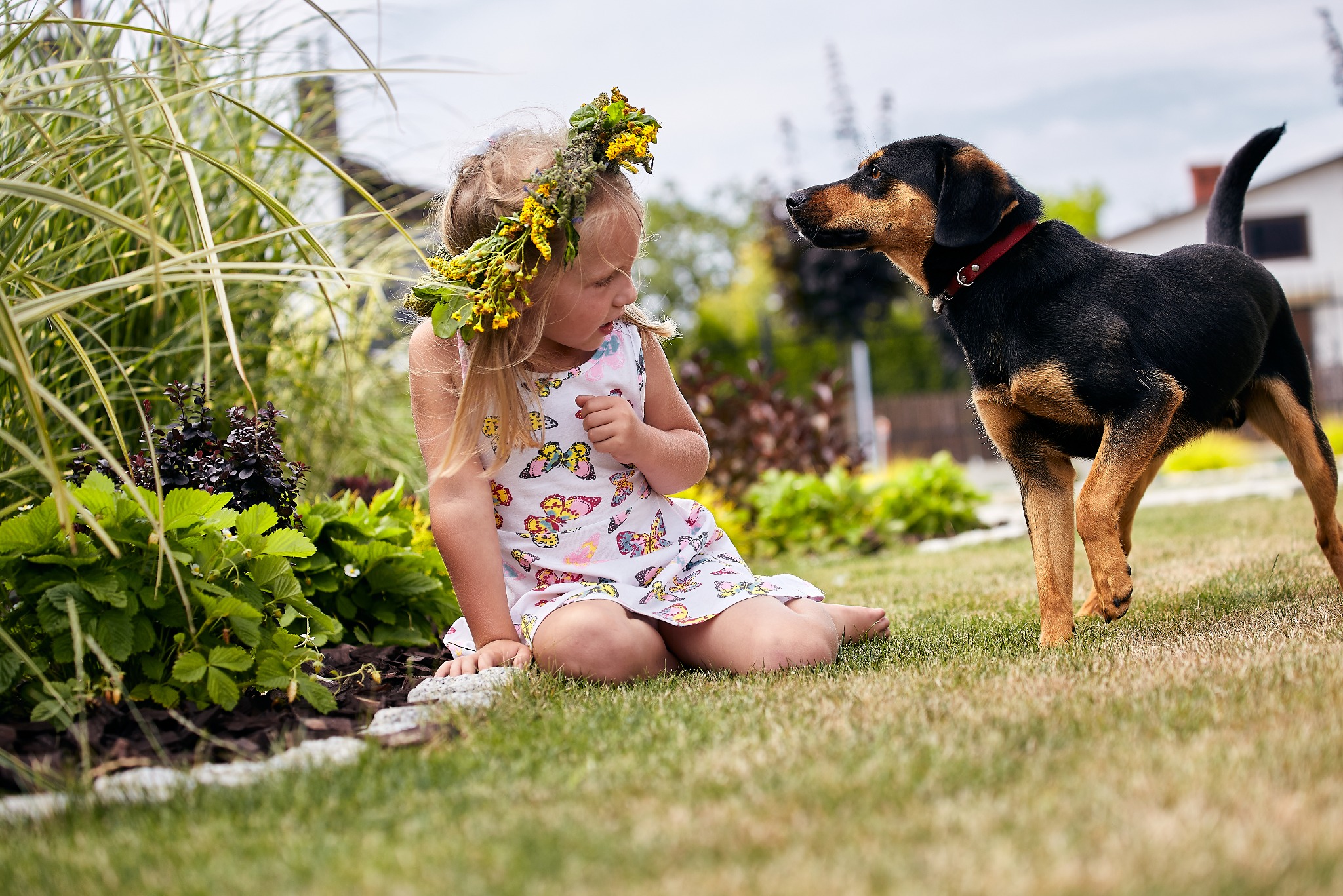 Dziewczynka w wianku z żółtych kwiatów siedzi na trawie, spoglądając na psa z czerwoną obrożą. W tle zieleń ogrodu i fragment budynku.