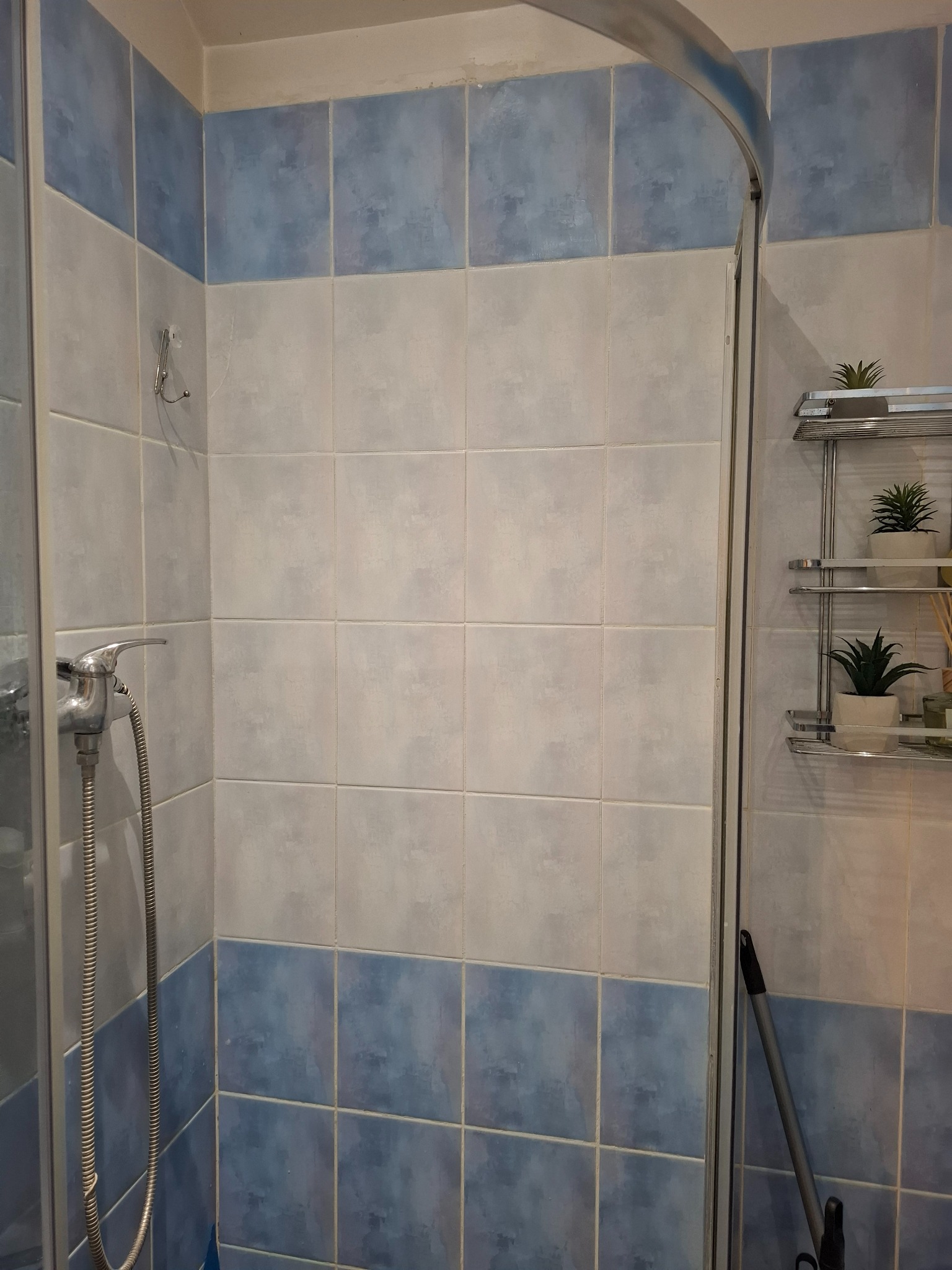 Wykończona kabina prysznicowa z niebiesko-białymi płytkami, chromowaną armaturą i półkami z dekoracyjnymi roślinami. Widoczny fragment kabiny i haczyk na ścianie.