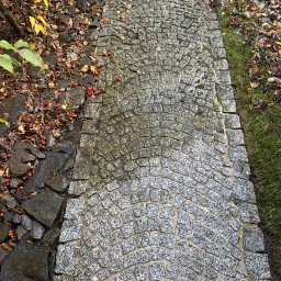 Sebastian Knapik - Mokry, wyczyszczony fragment ścieżki z kostki brukowej, z widocznymi resztkami liści i owoców, sąsiadujący z trawnikiem i rabatą z kamieniami.