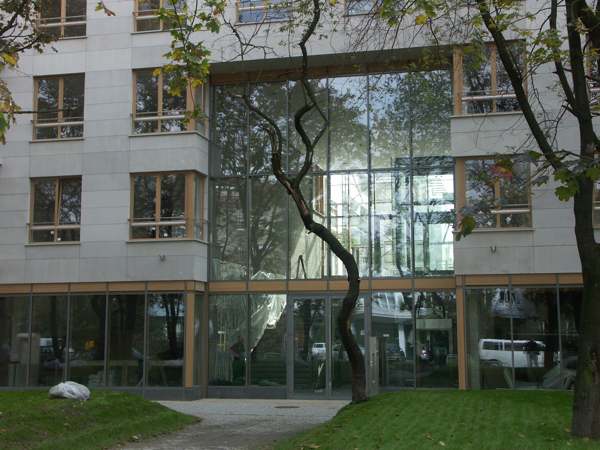 Nowoczesny budynek biurowy z dużymi oknami, drzewo na pierwszym planie. Widoczne odbicia w szklanej fasadzie. Jasna elewacja, trawnik przed budynkiem.