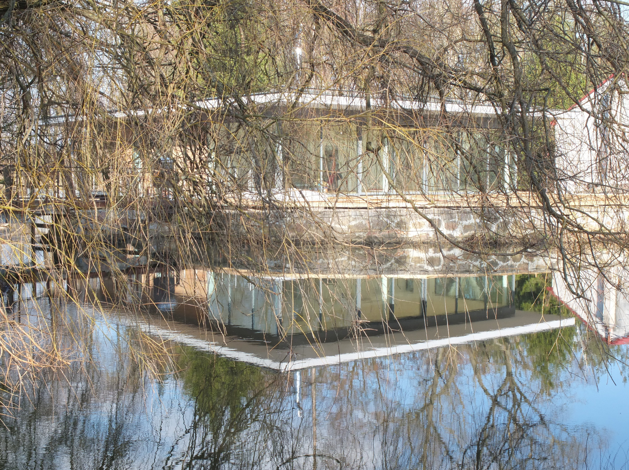 Nowoczesny budynek z dużymi oknami, częściowo zasłonięty gałęziami drzew, odbijający się w wodzie. Nietypowe ujęcie z perspektywy tafli wody.