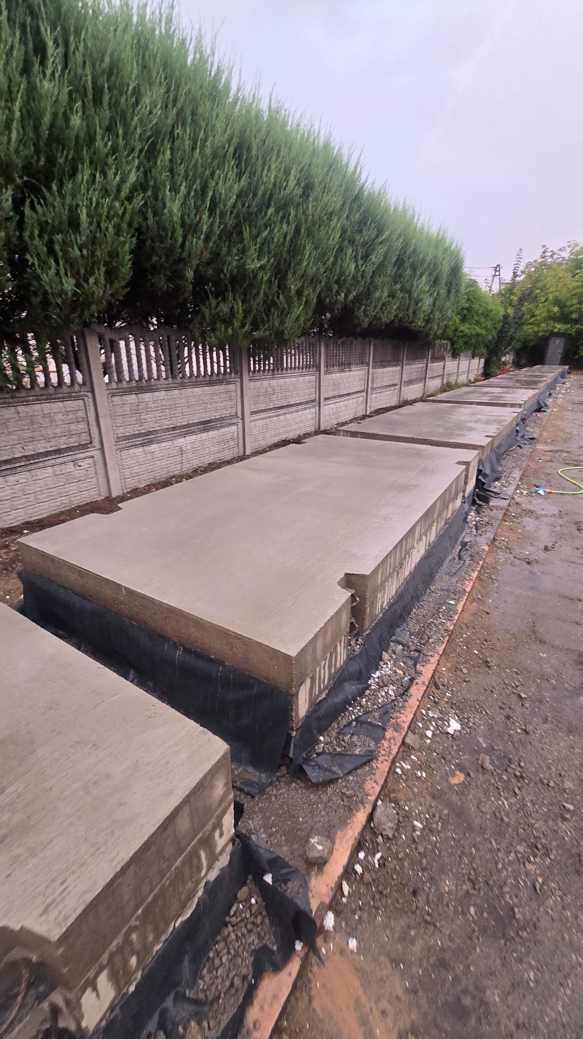 Układanie betonowych płyt drogowych na przygotowanym podłożu, widoczne zabezpieczenia hydroizolacyjne i fragment węża ogrodowego. Tło stanowi rząd tuj i betonowe ogrodzenie.