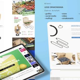 Reklama internetowa Poznań 4