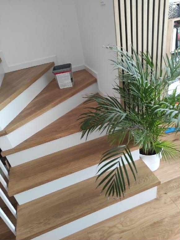 Kątowe ujęcie drewnianych schodów z białymi podstopnicami, doniczką z palmą i puszką farby na jednym ze stopni. Naturalne oświetlenie.