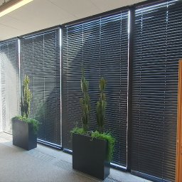 Naprawa okien Kamieniec Ząbkowicki 3