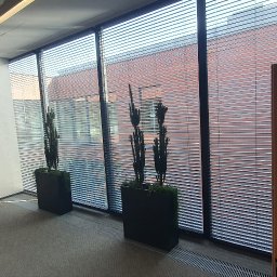 Naprawa okien Kamieniec Ząbkowicki 4