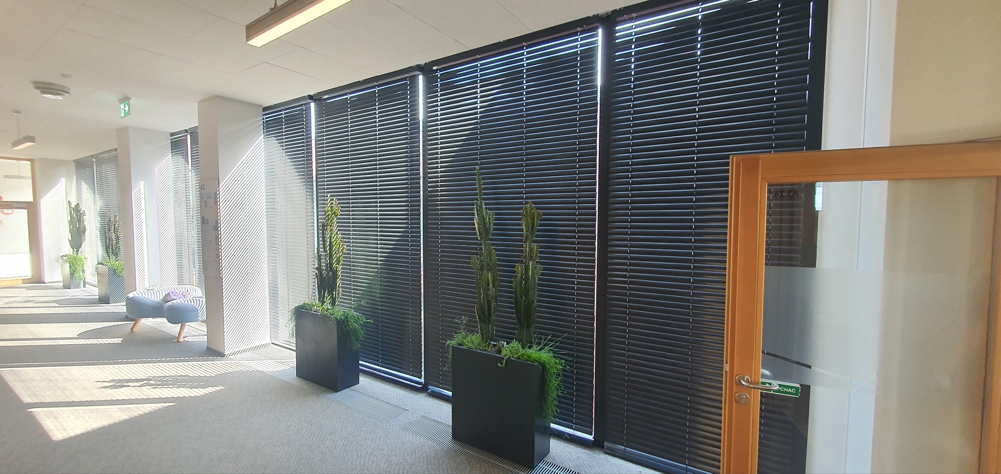 Eleganckie, czarne żaluzje aluminiowe w biurowym korytarzu, z roślinami w donicach. Widoczne promienie słoneczne wpadające przez okna. Nowoczesny design.