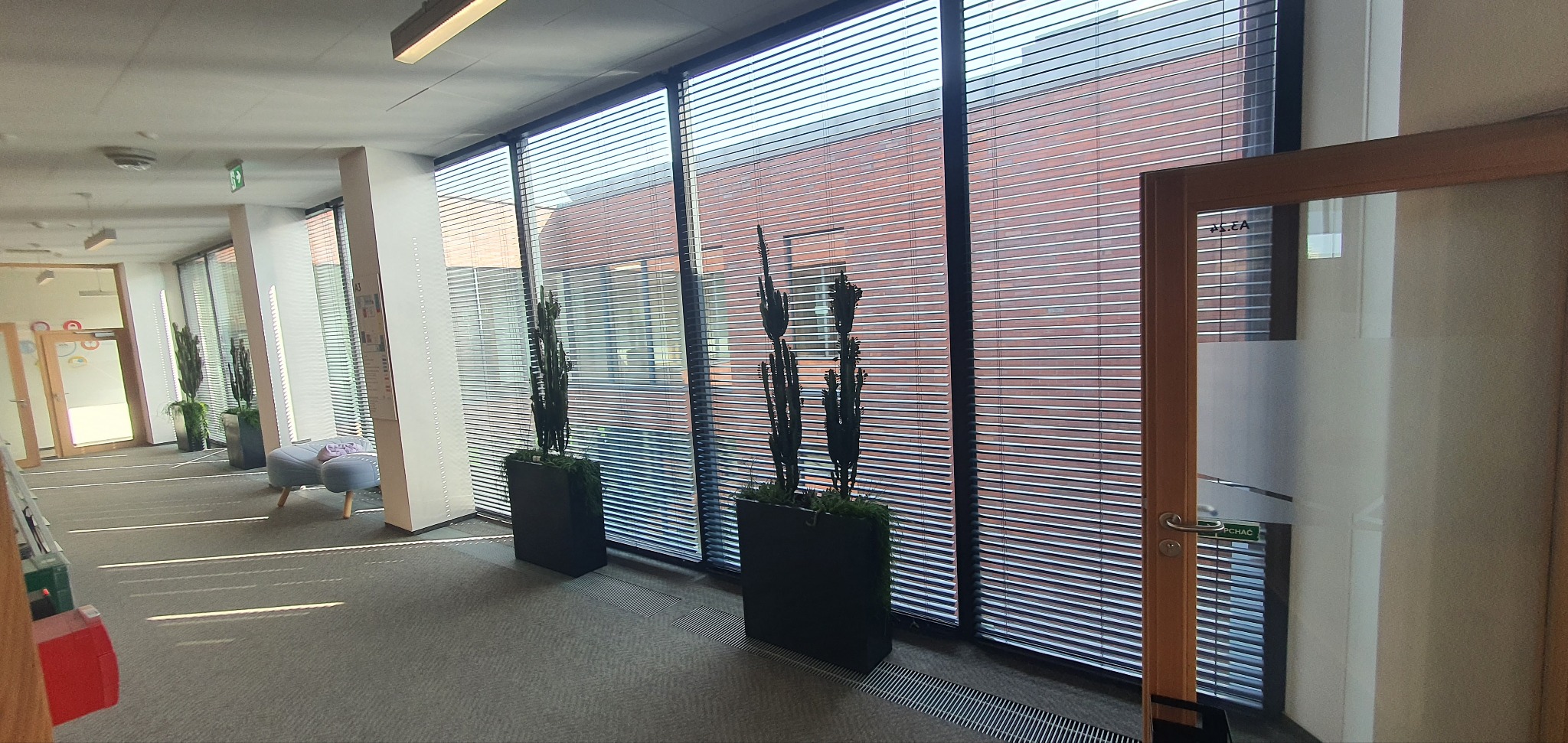 Wnętrze biura z żaluzjami aluminiowymi w oknach, przez które widać budynek z cegły. Na podłodze stoją donice z roślinami.