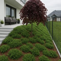 Usługi ogrodnicze - Nowoczesny ogród z bordowym drzewem i równo posadzonymi krzewami na korze, obok domu z tarasem i szarą sofą. Minimalistyczny design ogrodu.