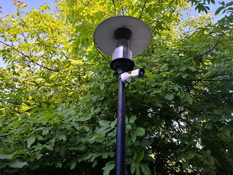 Kamera monitoringu zamontowana na słupie oświetleniowym, na tle zielonych liści drzewa. Widok z dołu, słup czarny, kamera biała, okrągła lampa na górze.