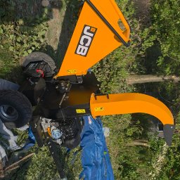 Wycinka drzew Truskolasy 1