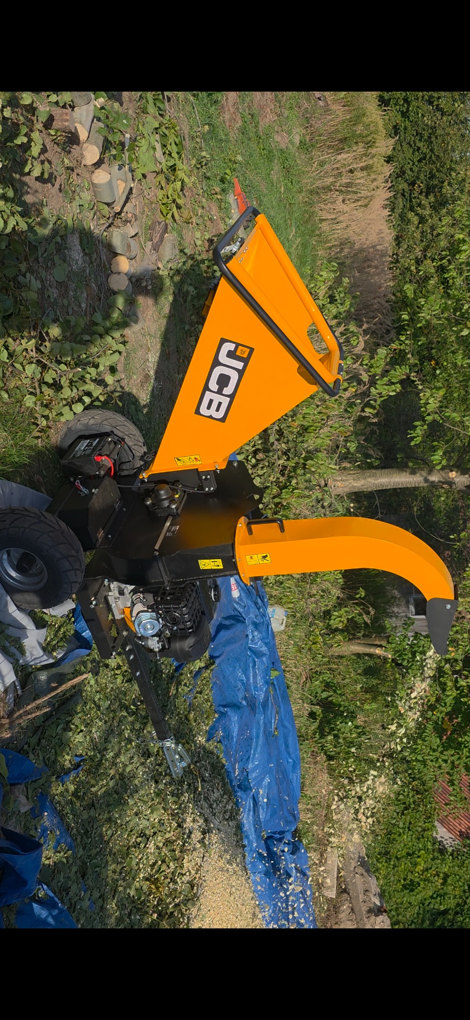 Pomarańczowa rębarka JCB na trawie z resztkami po wycince, widoczne ścięte pnie drzew. Sprzęt gotowy do pracy w ogrodzie.