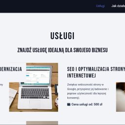 Tworzenie stron internetowych Pabianice 2