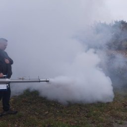 Dezynsekcja i deratyzacja Pruszków 1