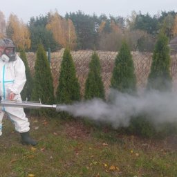 Dezynsekcja i deratyzacja Pruszków 2