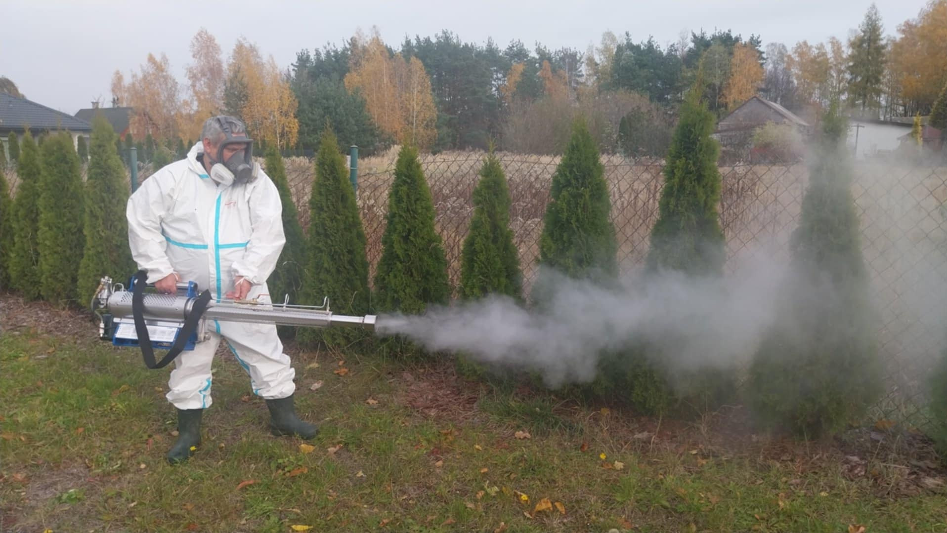Osoba w kombinezonie ochronnym i masce rozpyla mgłę z zamgławiacza termicznego na tle żywopłotu z tuj. Widoczne drzewa i dom w oddali.