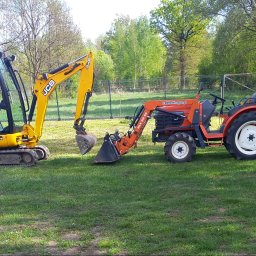 Wycinka drzew Wołomin 1