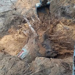 Wycinka drzew Wołomin 3