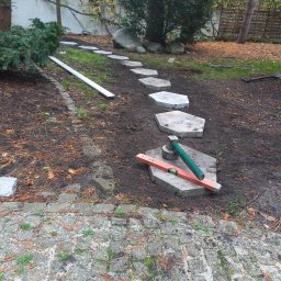 Wycinka drzew Wołomin 4