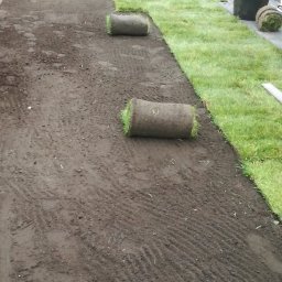 Daw Garden - Układanie trawy z rolki w ogrodzie. Widoczne fragmenty ułożonej trawy, rolki trawy i dwóch pracowników w trakcie pracy. Tło stanowi ogrodzenie i zieleń.