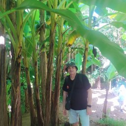 Serhii Moiseiev Renonty Poznań i Okolice - Sufit Napinany Poznań