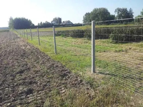 Długi, prosty odcinek siatki ogrodzeniowej z betonowymi słupkami, rozciągnięty wzdłuż pola uprawnego, z widocznym domem w tle. Perspektywa z poziomu gruntu.