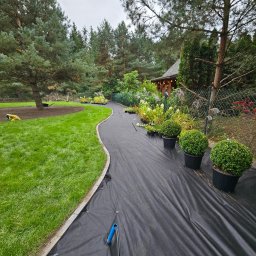 Przygotowanie terenu pod nasadzenia 