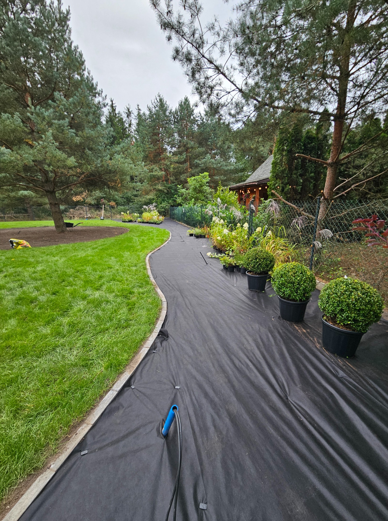 Przygotowanie terenu pod nasadzenia