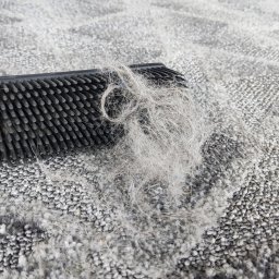 Sprzątanie mieszkań Małkinia 2