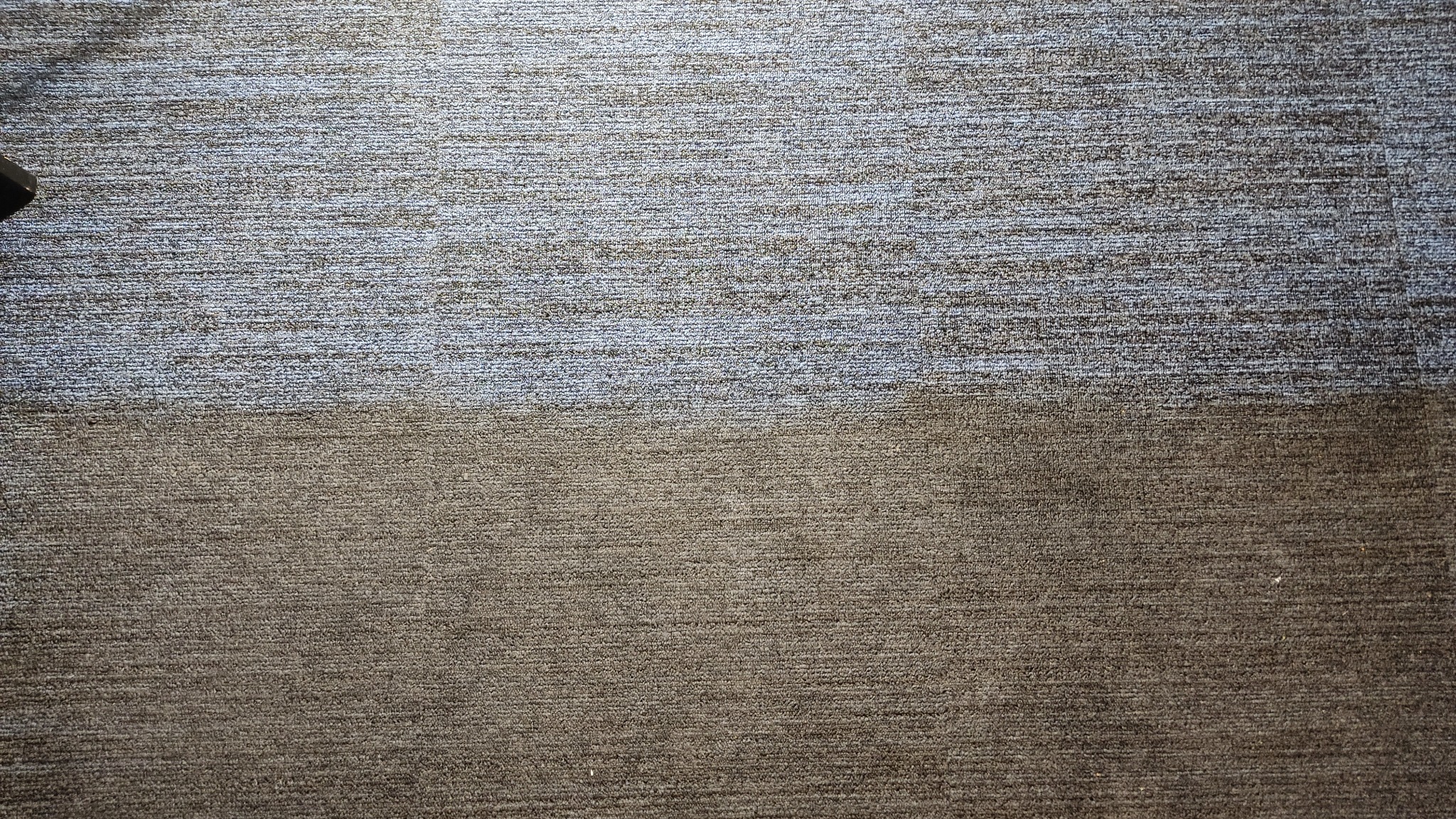 Dywan po czyszczeniu: górna część jaśniejsza, dolna ciemniejsza. Widoczna różnica w kolorze po zabiegu, ukazująca skuteczność czyszczenia.