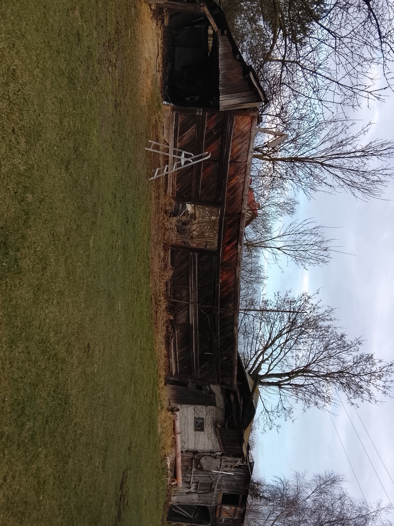 Stary, drewniany budynek gospodarczy z drabiną opartą o ścianę, otoczony zielonym trawnikiem i drzewami bez liści, pod pochmurnym niebem. Widoczne ślady zaniedbania.