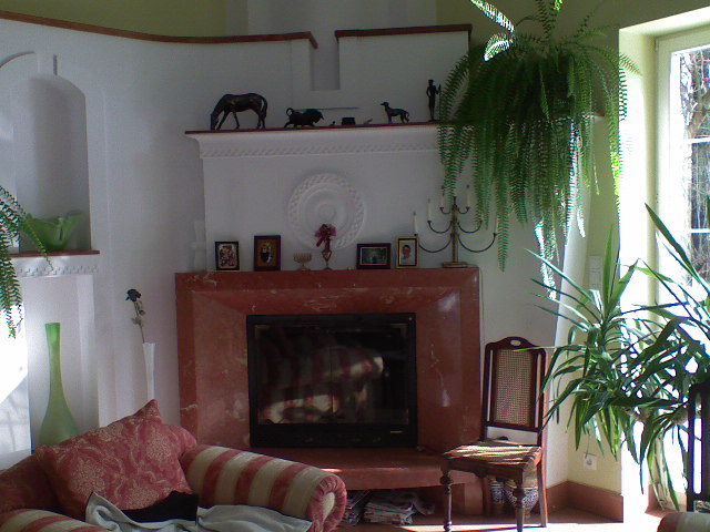 Salon z kominkiem obłożonym marmurem, dekorowany roślinami doniczkowymi, figurkami zwierząt i ozdobami.