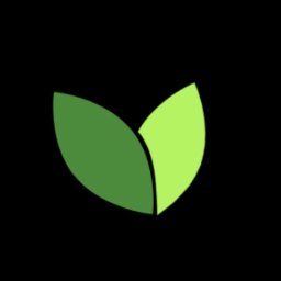 Seedly - Trawa z rolki - Studnie Głębinowe Białystok