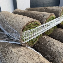 trawa z rolki podlaskie