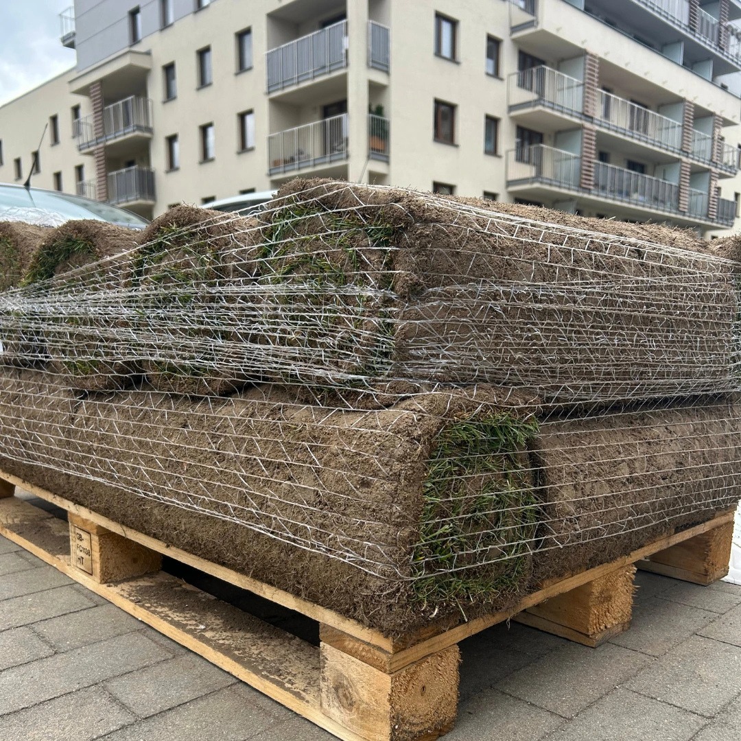 trawa z rolki białystok