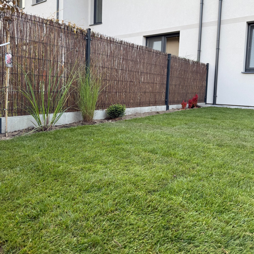 trawa z rolki Suwałki