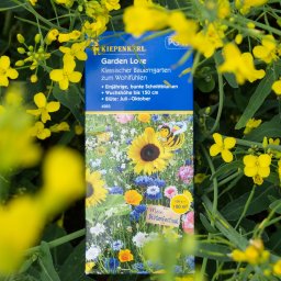 Fotografia Agata Wengerek - Opakowanie nasion kwiatów 'Garden Love' Kiepenkerl, otoczone żółtymi kwiatami rzepaku. Produkt na tle naturalnej zieleni, z bliska, w naturalnym oświetleniu.