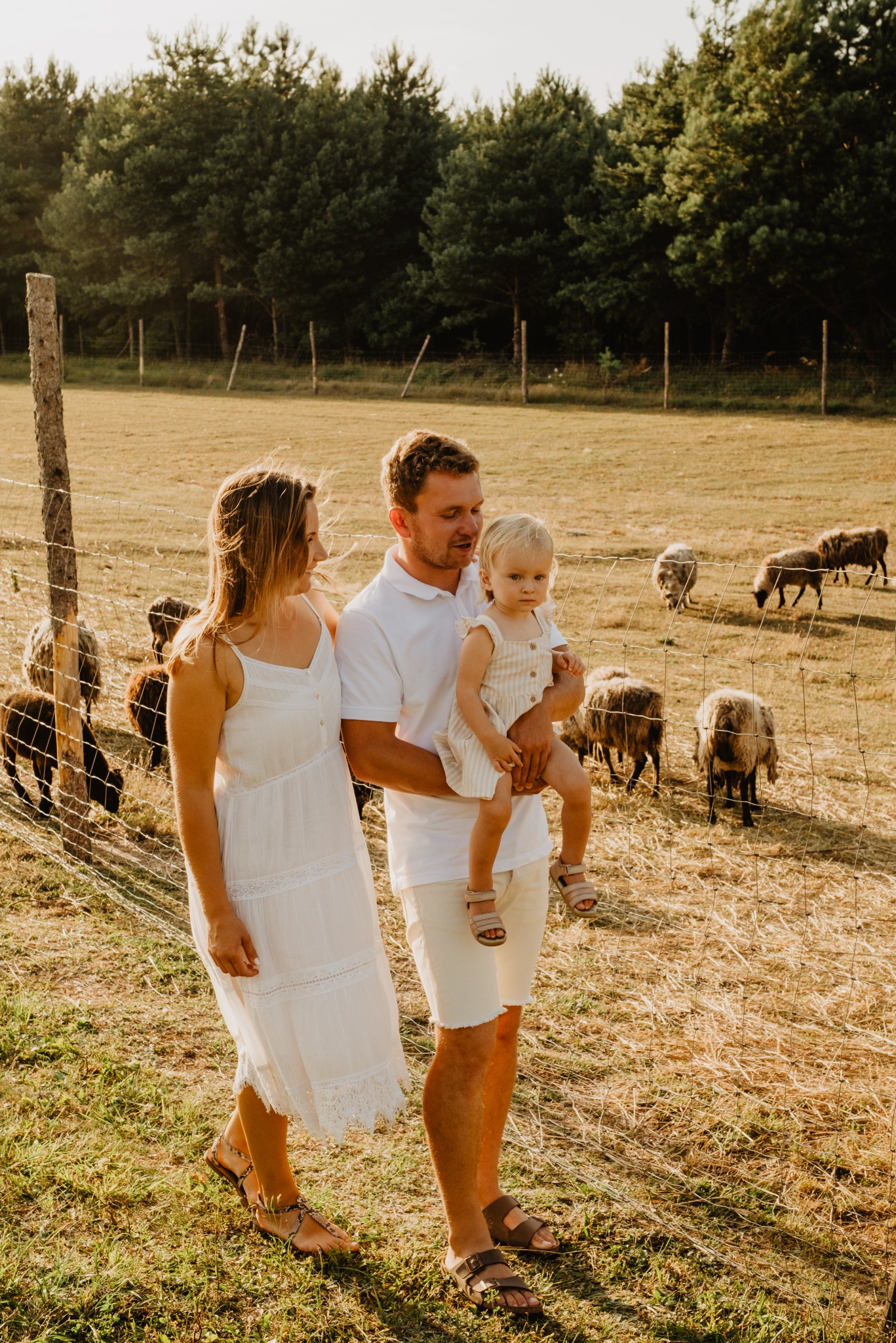 Rodzinna sesja w plenerze: mama w zwiewnej sukience, tata trzyma córeczkę na rękach, w tle stado owiec za ogrodzeniem i las w ciepłym, letnim świetle.