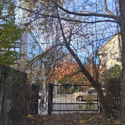 Dzewa zagradzające wjazd