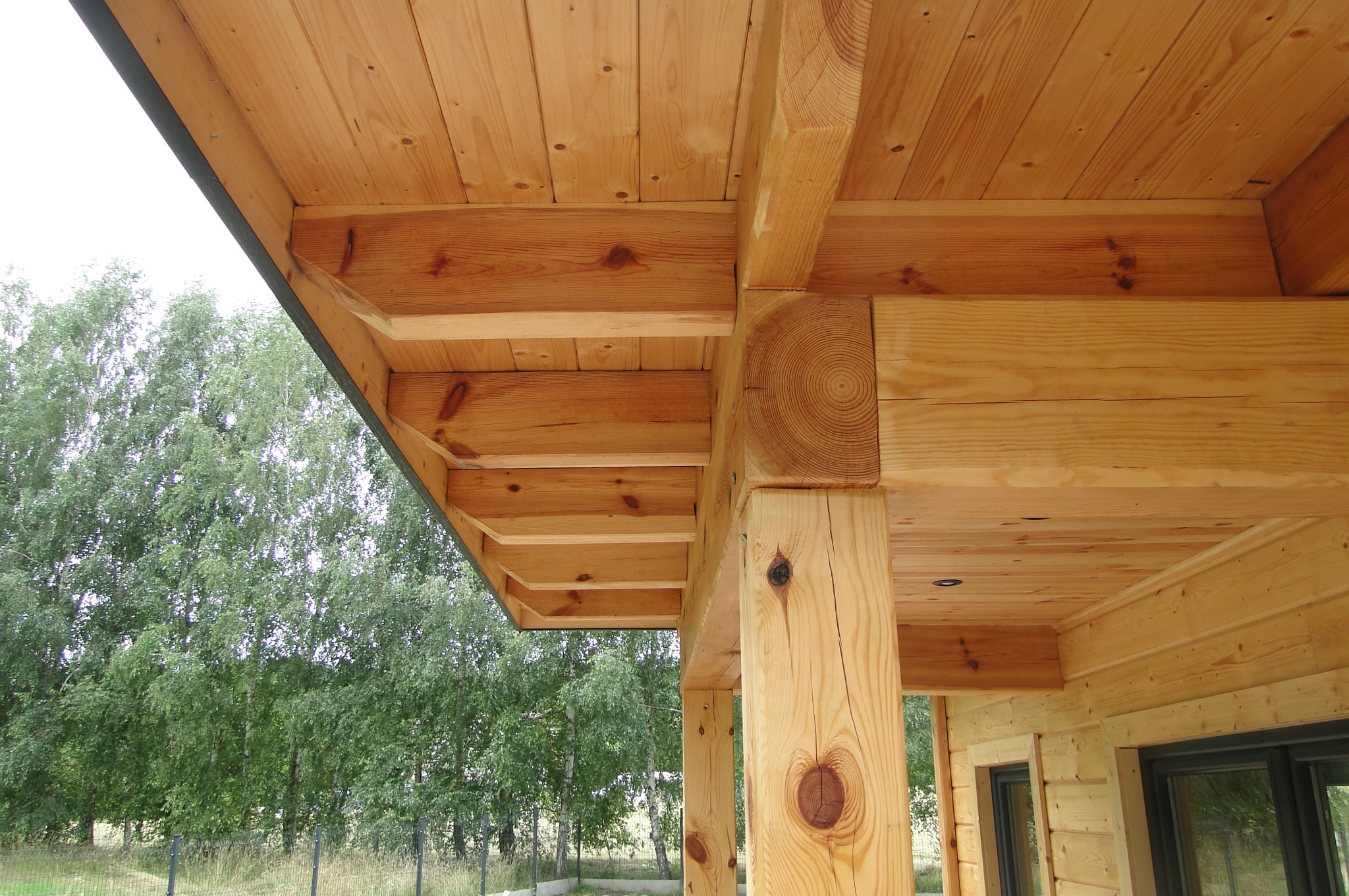 Drewniana konstrukcja z belek, widok z dołu na sufit i wsporniki. Naturalne drewno, widoczne słoje. W tle zieleń drzew i fragment okna. Jasne, naturalne oświetlenie.